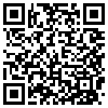 QR Code Handyversion