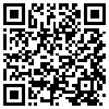 QR Code Handyversion