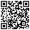 QR Code Handyversion