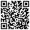 QR Code Handyversion