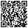 QR Code Handyversion