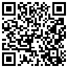 QR Code Handyversion