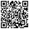 QR Code Handyversion