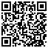 QR Code Handyversion