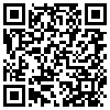 QR Code Handyversion