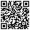 QR Code Handyversion