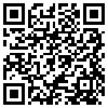 QR Code Handyversion