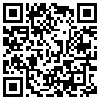 QR Code Handyversion