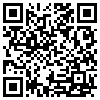 QR Code Handyversion