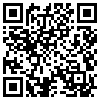 QR Code Handyversion