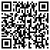 QR Code Handyversion