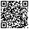 QR Code Handyversion