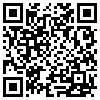 QR Code Handyversion