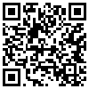 QR Code Handyversion