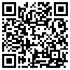 QR Code Handyversion