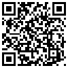 QR Code Handyversion