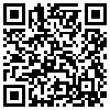 QR Code Handyversion