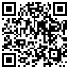 QR Code Handyversion