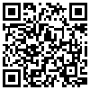 QR Code Handyversion