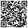 QR Code Handyversion