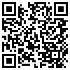 QR Code Handyversion