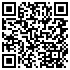 QR Code Handyversion