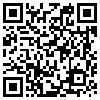 QR Code Handyversion