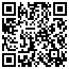 QR Code Handyversion