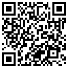 QR Code Handyversion