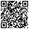 QR Code Handyversion