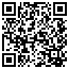 QR Code Handyversion