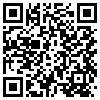 QR Code Handyversion