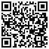 QR Code Handyversion