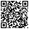 QR Code Handyversion