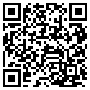 QR Code Handyversion