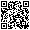 QR Code Handyversion