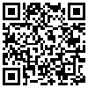 QR Code Handyversion