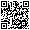 QR Code Handyversion