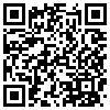 QR Code Handyversion