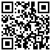 QR Code Handyversion