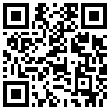 QR Code Handyversion