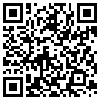 QR Code Handyversion