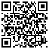 QR Code Handyversion