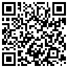 QR Code Handyversion