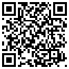 QR Code Handyversion