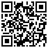 QR Code Handyversion