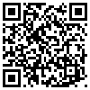 QR Code Handyversion