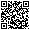 QR Code Handyversion