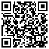 QR Code Handyversion