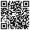 QR Code Handyversion